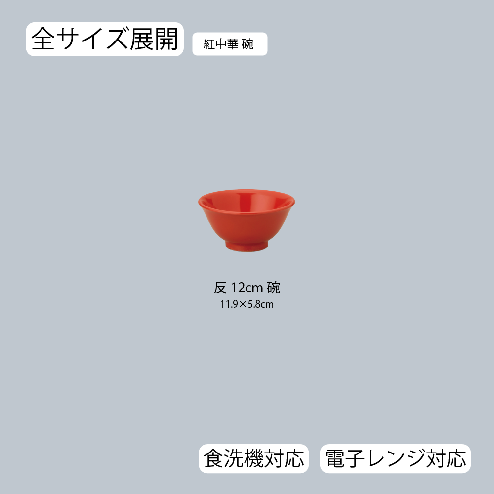 サイズ